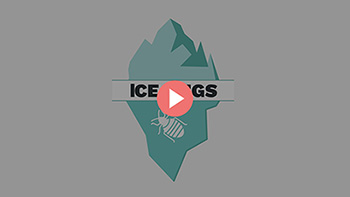 Traitement du linge par congélation contre les punaises de lit sur Ice Bugs